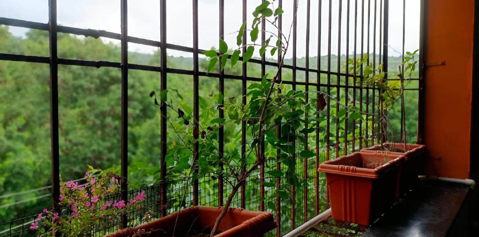 Вілла Abhayanand Agro Tourism Ellora Екстер'єр фото